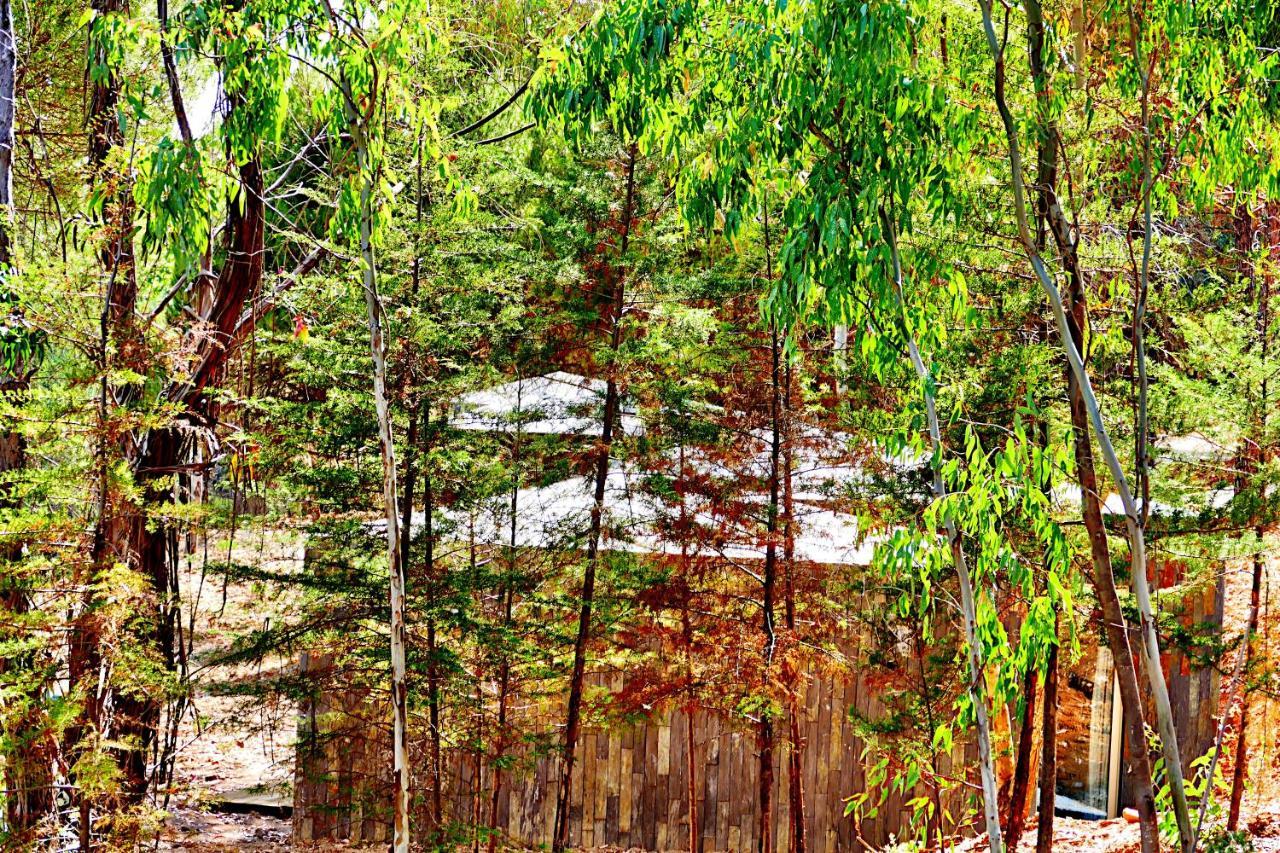 Herdade Clube Tiro มอนฟอร์ตินโญ ภายนอก รูปภาพ