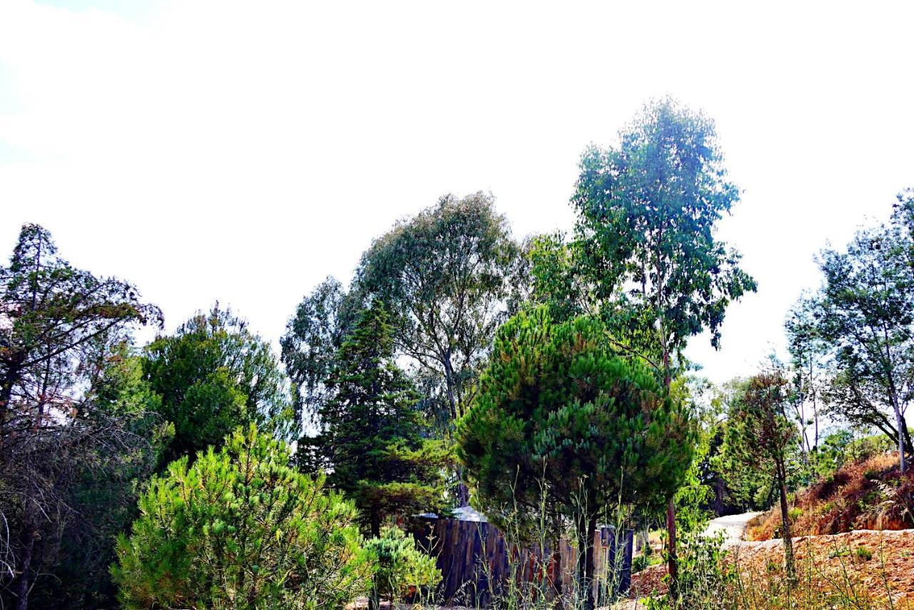 Herdade Clube Tiro มอนฟอร์ตินโญ ภายนอก รูปภาพ